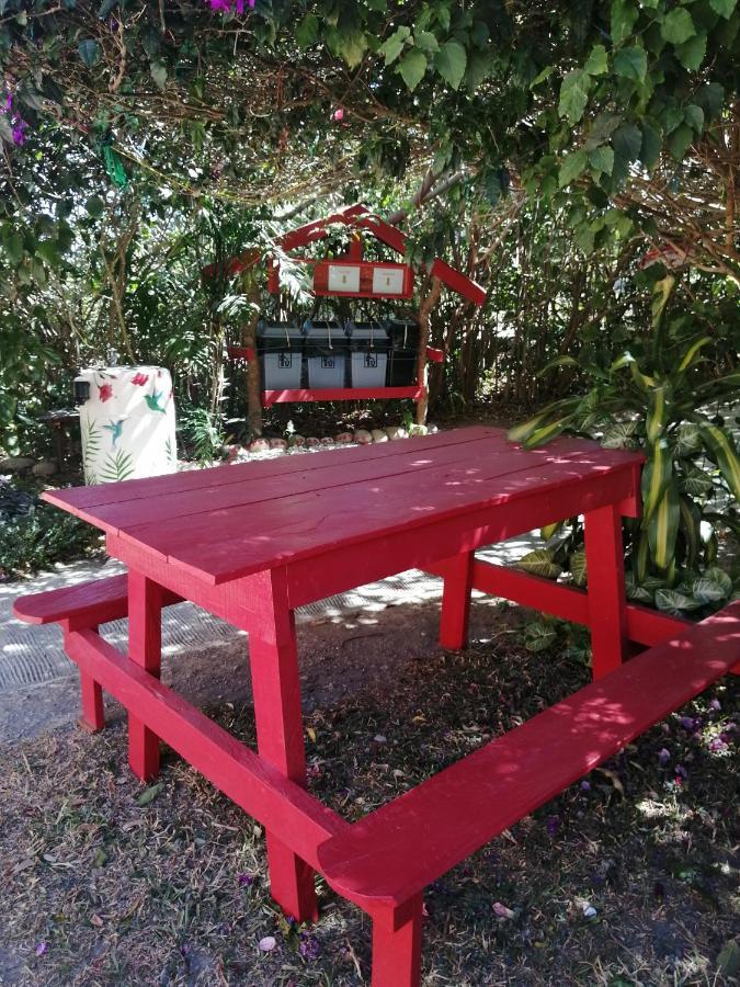 Pension Y Cabinas Colibri B&B Costa Rica Monteverde 外观 照片