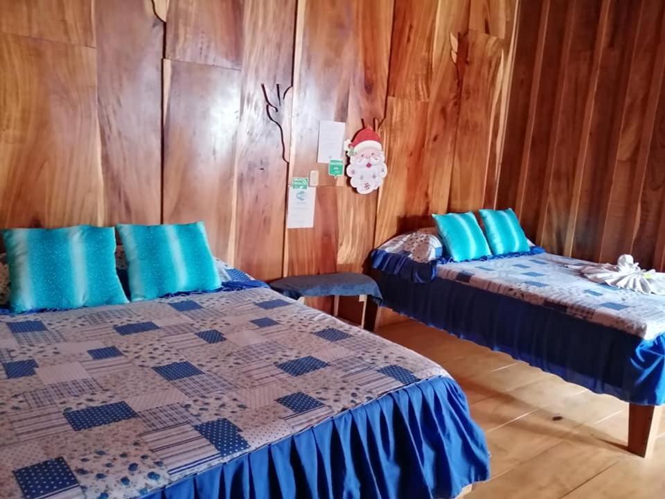 Pension Y Cabinas Colibri B&B Costa Rica Monteverde 外观 照片